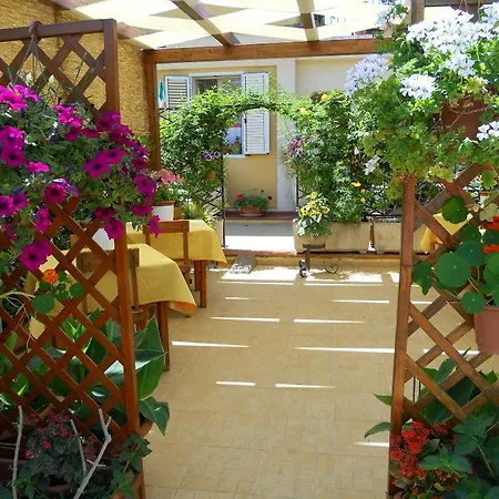 Ansise Nocleg ze śniadaniem 4*